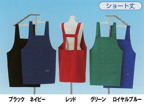 �T�j�[���C�g4004